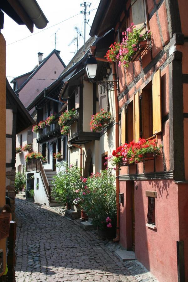 Résidence Vénus Eguisheim Extérieur photo